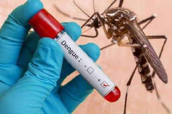 பிரேசிலில் டெங்கு காய்ச்சல் தீவிரம்.... 391 பேர் பலி